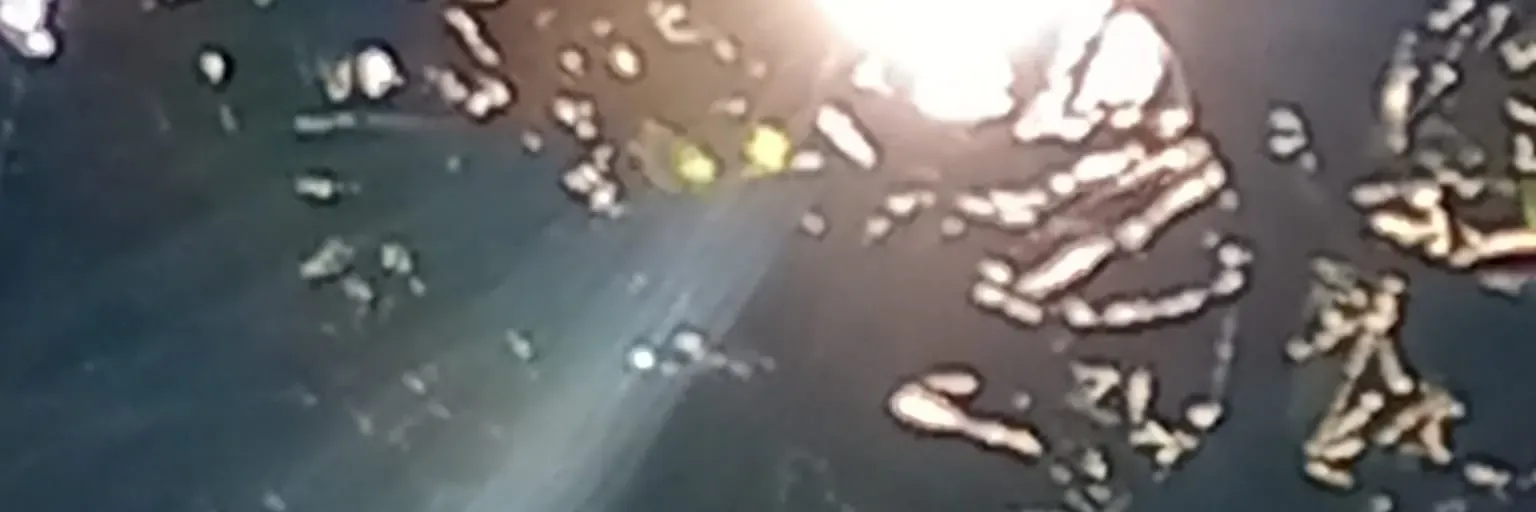 TAN Radio - True African Network Radio