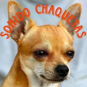 The Sonido Chaquetas Radio