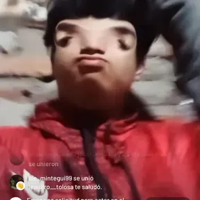 Cesar 334