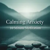 How to Stop a Panic Attack Fast  10 Minute Vagus Nerve Reset & Physiological Sigh for Instant Anxiety Relief