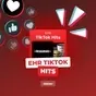 EHR TikTok Hits