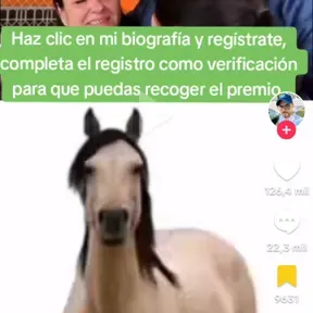 XD.FM88