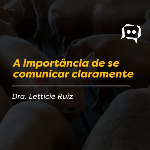 A importância de se comunicar claramente