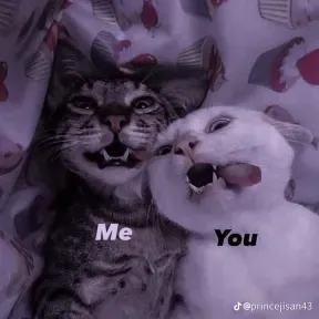 Jnajbbuhb