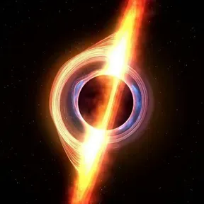 no copyright