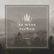 ফেয়ার লেবার স্ট্যান্ডার্ডস অ্যাক্ট অফ 1938 (পার্ট III) - পর্ব 241