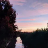 VIENTO DE LEBECHE T03C047 Los veranos del Campo de Cartagena (22/07/2024)