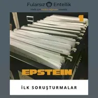 Epstein: Nereden Çıktı ve İlk Soruşturmaları Nasıl Atlattı