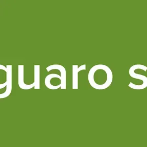 canaguaro stereo
