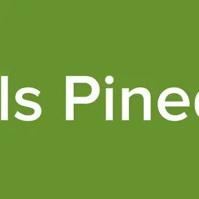 Nils Pineda