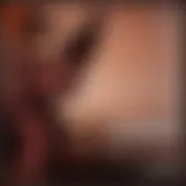 reforma.com - Escápate al Edomex