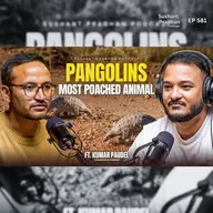 EP 581: Pangolins Are World’s Most Trafficked Animal? | Kumar Paudel | Sushant Pradhan Podcast