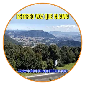 ESTEREO VOZ QUE CLAMA