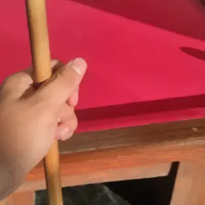 Nicopros
