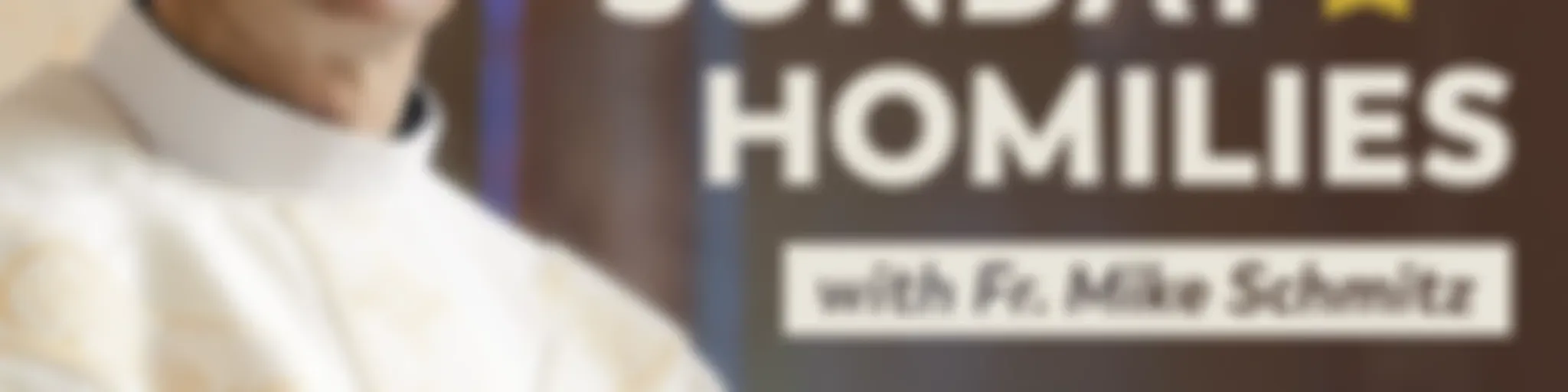 Sunday Homilies with Fr. Mike Schmitz