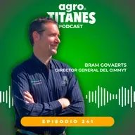 241 | CIMMYT BRAM