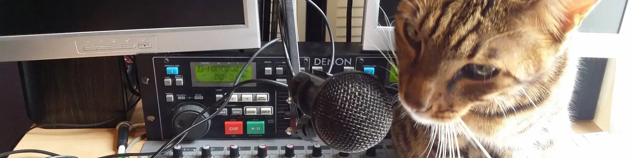 Cat FM Radio Rebooted