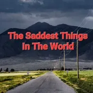 #4 Laika The Space Dog & Her One Way Trip To Death on The Saddest Things In The World Show