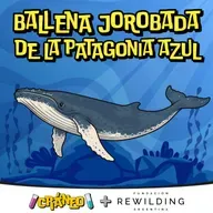 Ballenas jorobadas: La historia escrita en la cola
