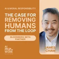 381: Who's Really Responsible When AI Gets It Wrong? Bloomberg Beta's James Cham on Power, Morality, and the Case for Removing Humans from the Loop