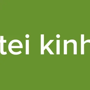Stei kinhs