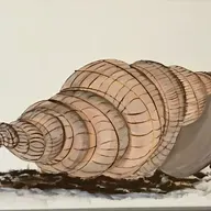 Peace in Moments. -- Three