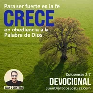 Enraizado y edificado