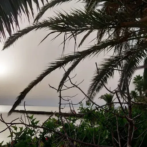 VIENTO DE LEBECHE T03C053 La despedida (02/09/2024)