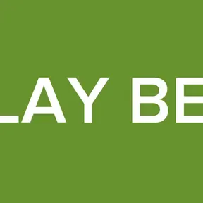 PLAY BED