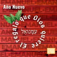 311 - Episodio Especial Año Nuevo