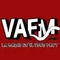 VAFM