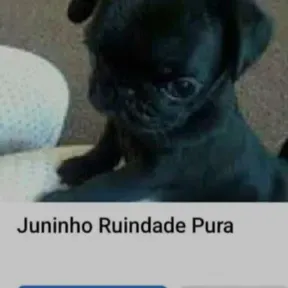Beatpunheta