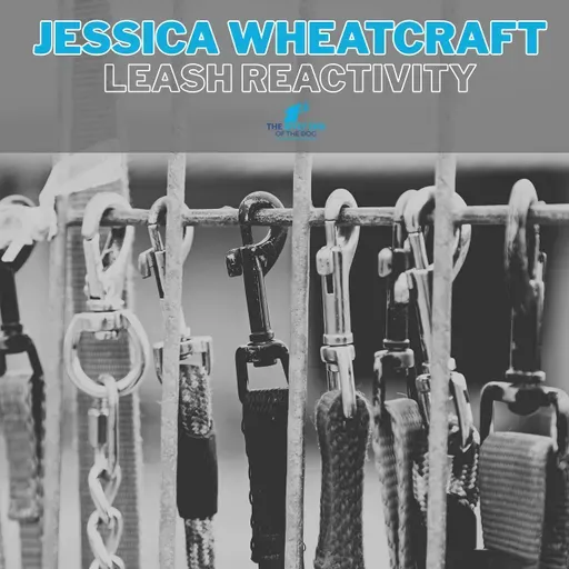 Crossing the Line: Thresholds and Leash Reactivity with Jessica Wheatcraft
