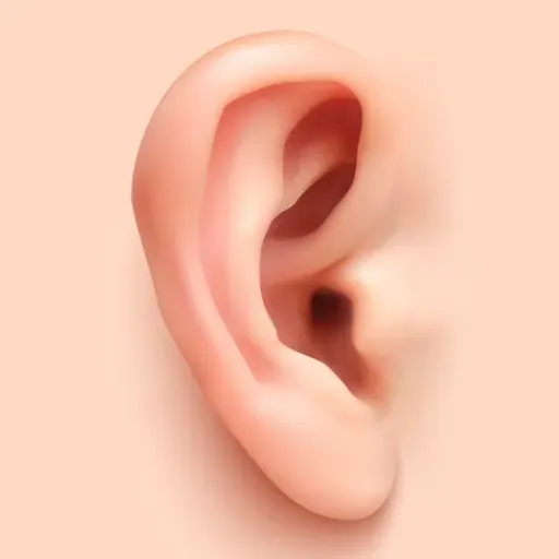 Dona Claudine e a orelha impressa