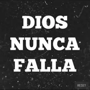 D.N.F RADIO