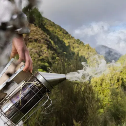 SWOT’s Up – Apiculture Leaders’ Industry Analysis 2026