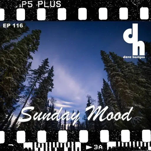 Sunday Mood 116