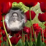 Lindo Fado