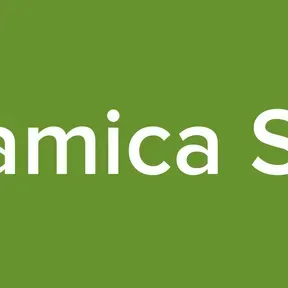 La Dinamica ST  88-1