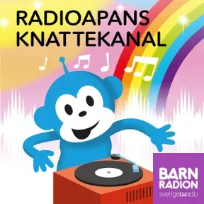 Radioapans knattekanal