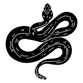 Ninja Project Conflitos