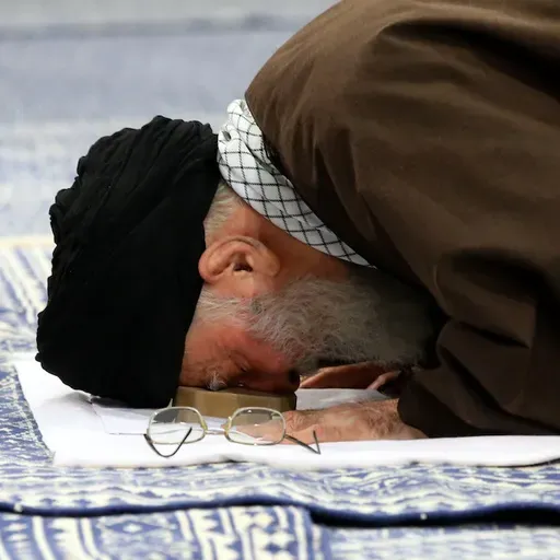 The Politics of Shill