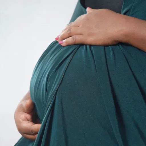 Planification familiale : visions religieuses et enjeux de santé publique au Niger (Forum)