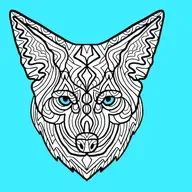 Coyote New Country HD -