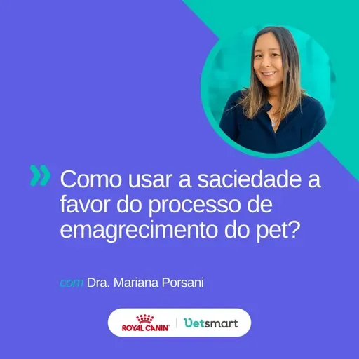 Como usar a saciedade a favor do processo de emagrecimento do pet?