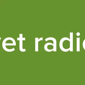 yet radio