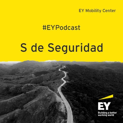 S de Seguridad