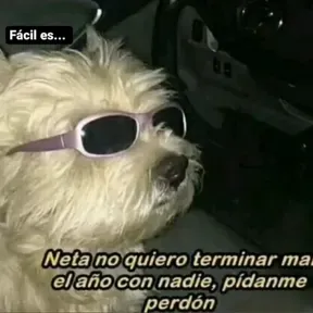 Doffysongs