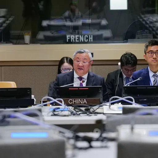 China-proposed Group of Friends of Global Governance established