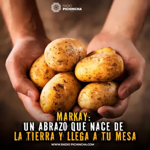 MARKAY: un abrazo que nace de la tierra y llega a tu mesa